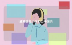 威斯康星大學相當于國內