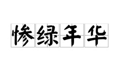 慘綠年華是什么意思_近義詞_來源