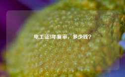 電工證3年復審，多少錢？