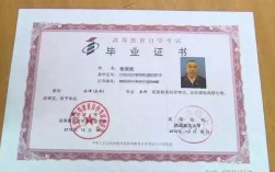 現(xiàn)在自學考什么證吃香(2024年什么證書含金量高)