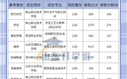 山東省公辦專科最低分