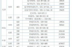 天津中德應用技術大學分數線