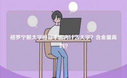 格羅寧根大學相當于國內什么大學？含金量高嗎？