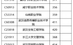 技能高考400分在武漢能上什么大專