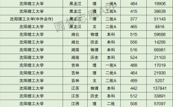 2024年沈陽理工大學(xué)排名