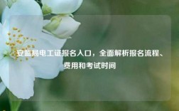 安監局電工證報名入口，全面解析報名流程、費用和考試時間
