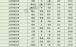 2024年山東科技大學 排名
