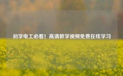 初學電工必看！高清教學視頻免費在線學習