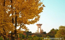 風景園林考研不壓分的學校(風景園林考研院校推薦)