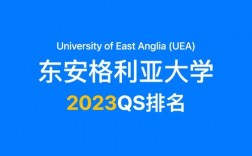 東安格利亞大學qs排名