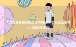 人力資源管理師四級證書有用嗎(自己怎么報考人力資源管理師)