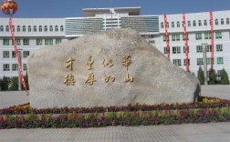 新疆華山中學(xué)的升學(xué)率如何？有哪些特色活動(dòng)？