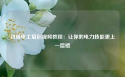 初級電工培訓視頻教程：讓你的電力技能更上一層樓