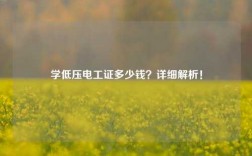 學低壓電工證多少錢？詳細解析！