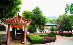 重慶德志錦輝素質教育為什么好評如潮？