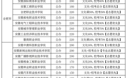 2024年安徽省專科院校排名及分數線