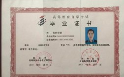 自考大專(學(xué)歷提升報(bào)名入口官網(wǎng))