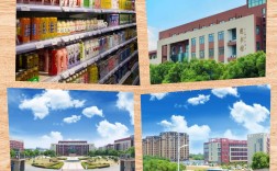 合肥共達職業(yè)技術學院復讀班怎樣？升學率高嗎？——2025年安徽高考考不上專科依然可以上大學！
