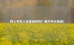 網(wǎng)上考電工證是真的嗎？揭開考試真相！