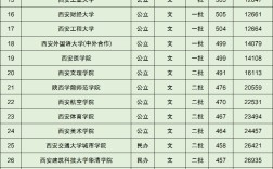 西安大學分數線