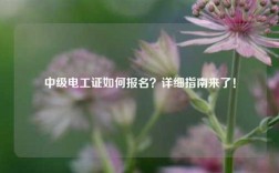 中級電工證如何報名？詳細指南來了！