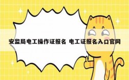 安監局電工操作證報名 電工證報名入口官網