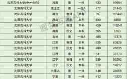 2024年沈陽(yáng)藥科大學(xué)分?jǐn)?shù)線