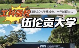 伍倫貢大學相當于國內什么檔次？什么水平？