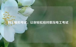 網上模擬考試，讓你輕松應對低壓電工考試