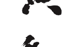 蒼黃反復是什么意思_近義詞_來源