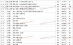 2024年山東商業職業技術學院分數線