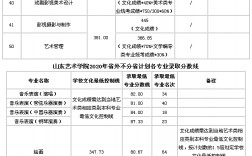 2024年山東藝術學院錄取分數線是多少