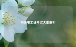 初級電工證考試大綱解析