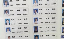 主治醫(yī)師和執(zhí)業(yè)醫(yī)師的區(qū)別