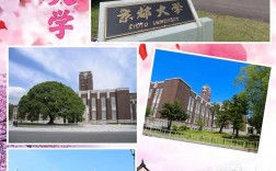 京都大學(xué)相當(dāng)于國內(nèi)哪所大學(xué)