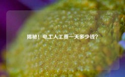 揭秘！電工人工費一天多少錢？