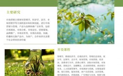 市場營銷屬于經(jīng)濟(jì)類還是管理類