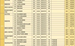 深職院有哪些專業(yè)可以專升本