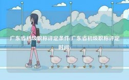 廣東省初級職稱評定條件(廣東省初級職稱評定時間)