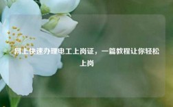 網上快速辦理電工上崗證，一篇教程讓你輕松上崗