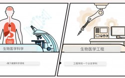生物工程和生物科學(xué)有什么區(qū)別？