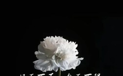 長眠不起是什么意思_近義詞_來源