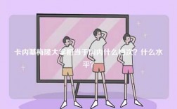 卡內(nèi)基梅隆大學(xué)相當(dāng)于國(guó)內(nèi)什么檔次？什么水平？