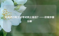 如何進行電工證考試網上報名？——詳細步驟分解