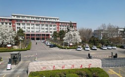 山東科技大學(xué)泰安校區(qū)怎么樣