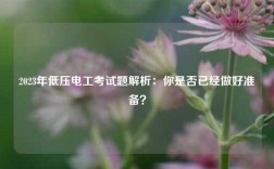 2023年低壓電工考試題解析：你是否已經做好準備？