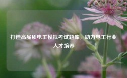 打造高品質電工模擬考試題庫，助力電工行業人才培養
