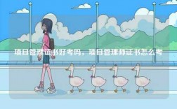項目管理證書好考嗎，項目管理師證書怎么考