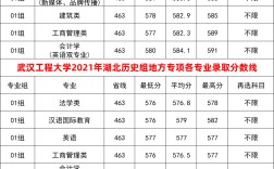 武漢工程大學分數線