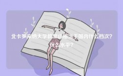 北卡羅來納大學(xué)教堂山相當(dāng)于國內(nèi)什么檔次？什么水平？